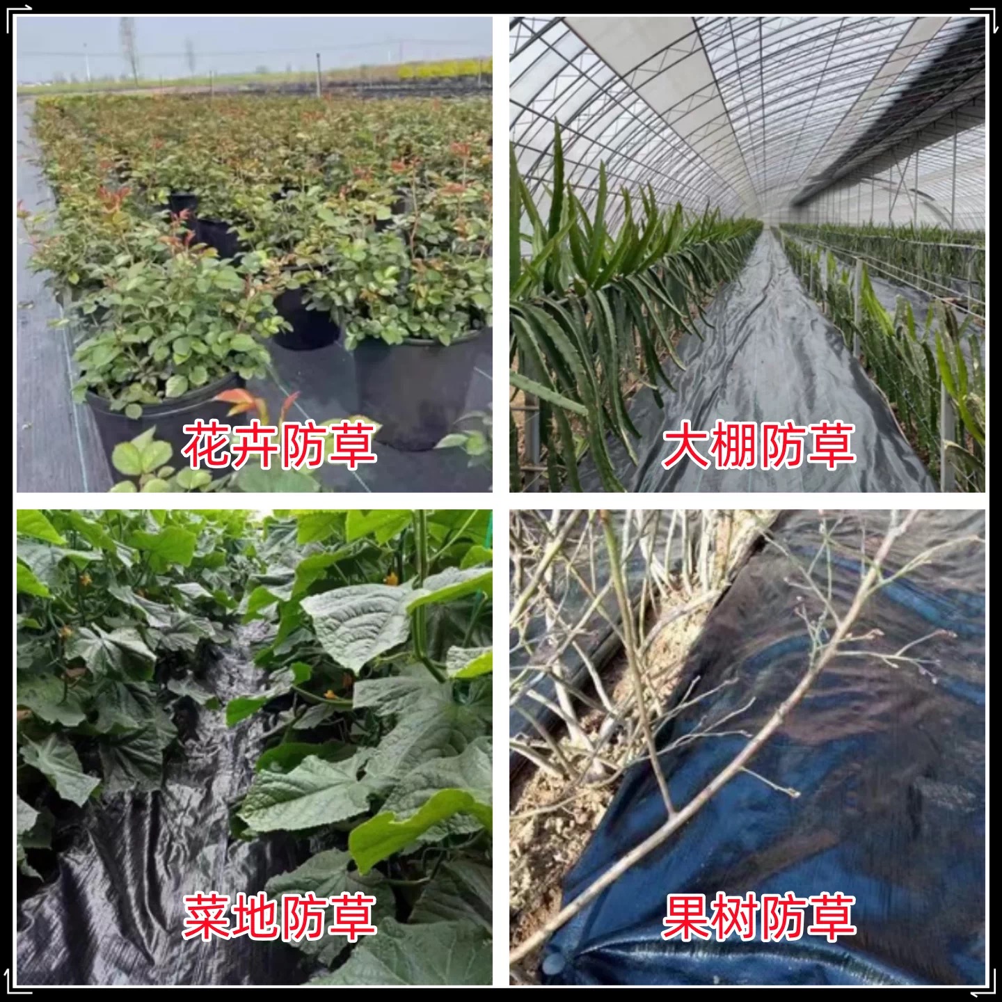 佛山市po膜防草布 - 推荐
