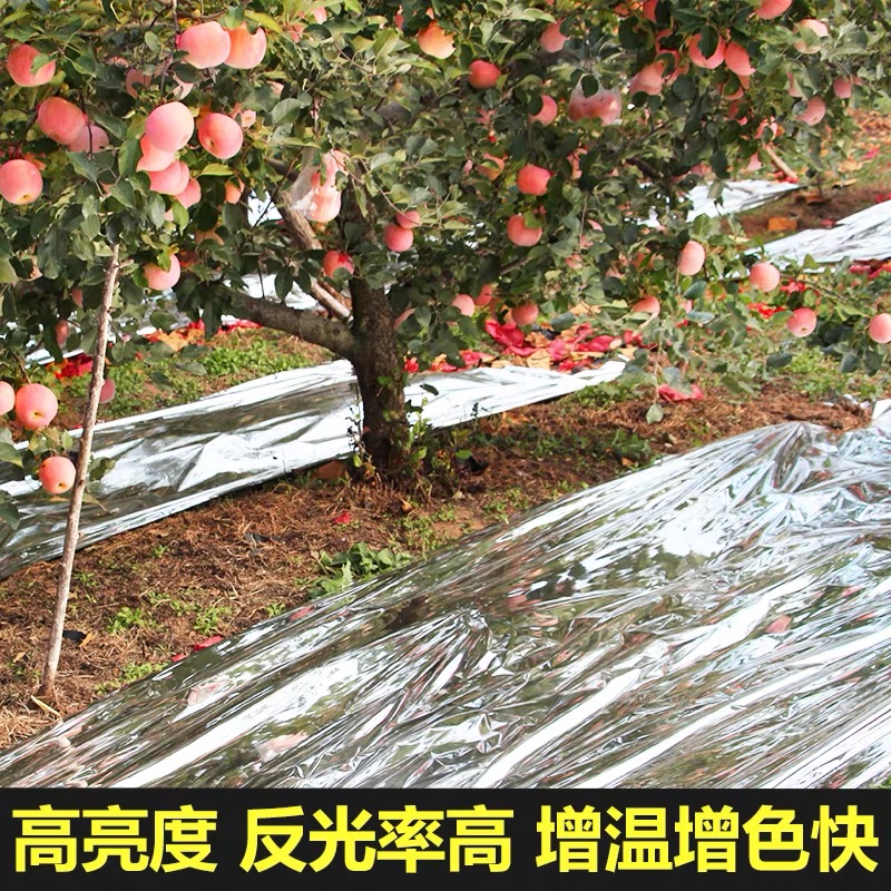 佛山市po膜果树反光膜 - 一站式服务